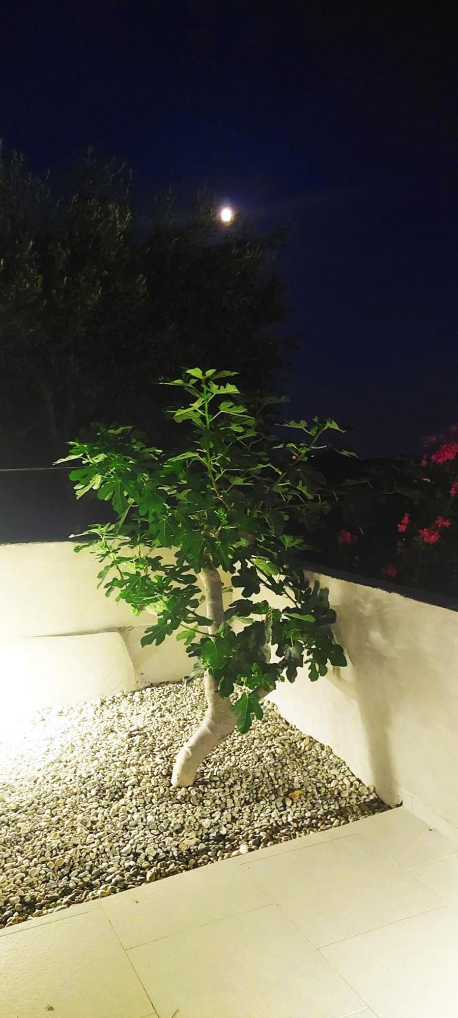Lux Navalia Appartamento *